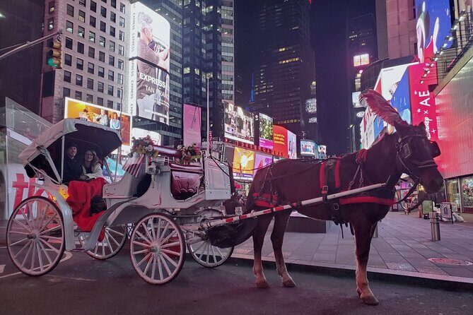 New York City Christmas Lights Private Horse Carriage Ride - Who Should Consider This Tour?