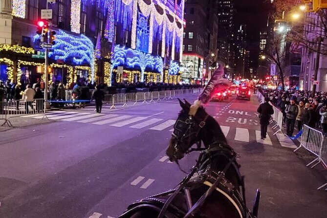 New York City Christmas Lights Private Horse Carriage Ride - The Sum Up: Is It Worth It?