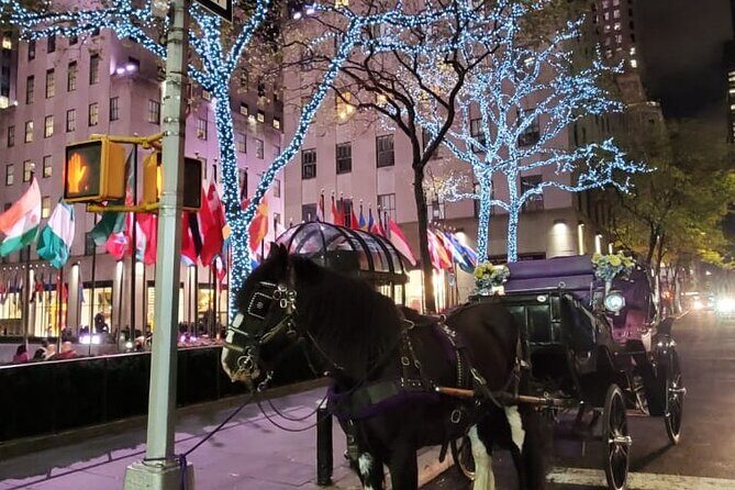 New York City Christmas Lights Private Horse Carriage Ride - FAQ