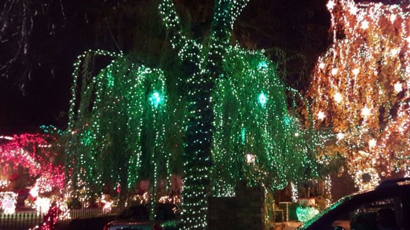 New York City: Dyker Heights Christmas Lights Tour - Who Is This Tour Best For?