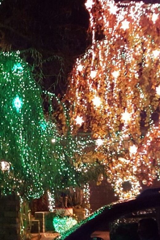 New York City: Dyker Heights Christmas Lights Tour - Frequently Asked Questions