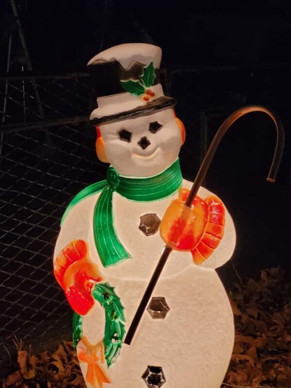 New York City: Dyker Heights Christmas Walking Tour - A Closer Look at the Dyker Heights Christmas Walking Tour