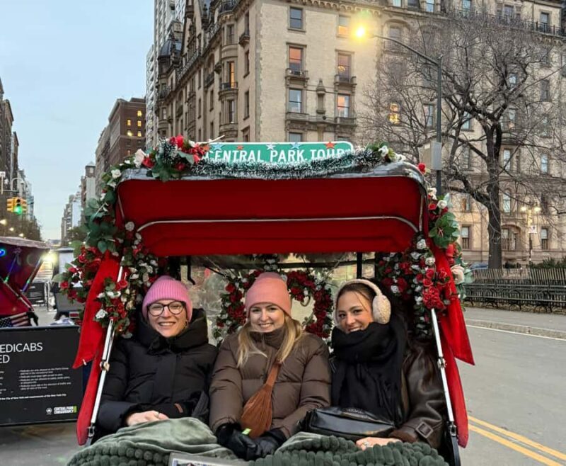 New York City: Home Alone & Elf Filming Locations Tour 60min - A Closer Look at the “Home Alone & Elf” Bike Tour