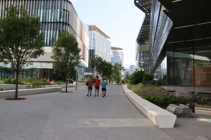 New York City: Roosevelt Island Walking Tour with Tram Ride - Who Would Love This Tour?