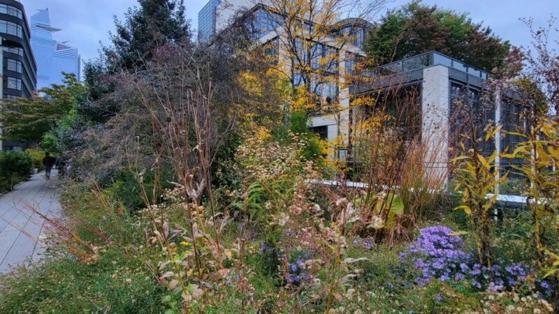 New York City: Secrets Of High Line Park Walking Tour - A Walk Through the Secrets of NYC’s Elevated Greenway