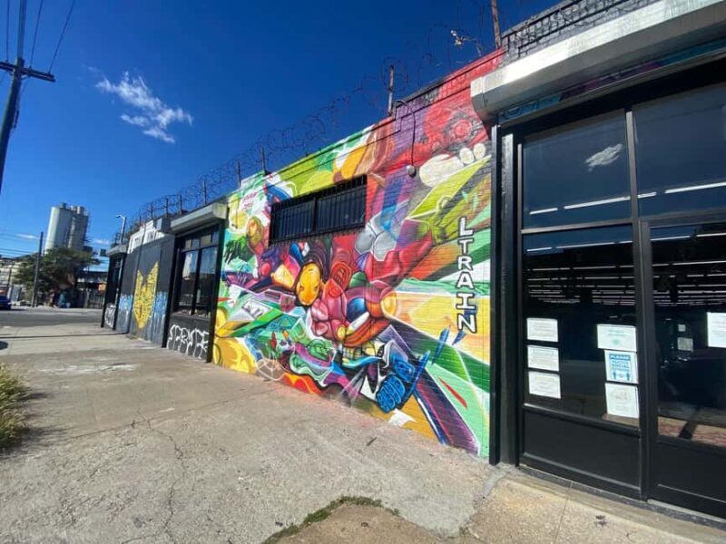 New York City: The Ultimate Brooklyn Speed Thrifting Tour - Key Points