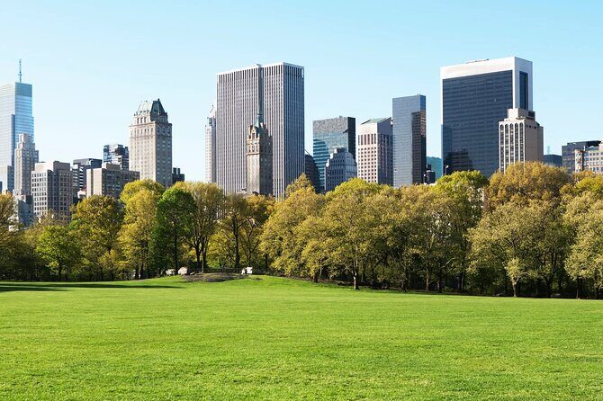 New York City with Metropolitan Museum Half Day Walking Tour - An In-Depth Look at the Tour Experience