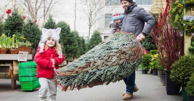 New York Citys Private Iconic Christmas Tour - The Details that Make the Difference