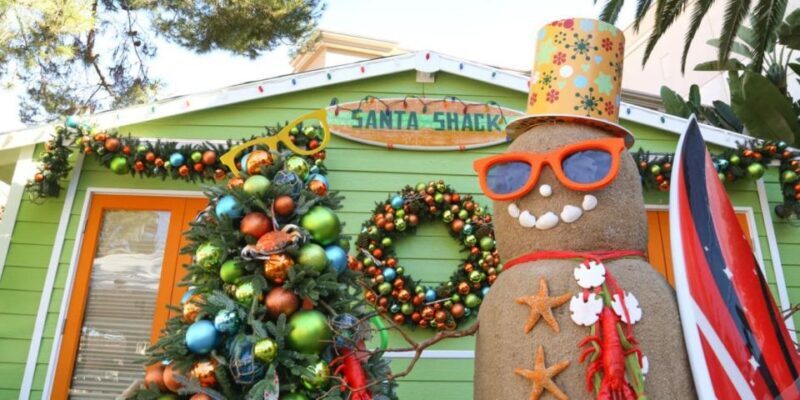 New York Citys Private Iconic Christmas Tour - Who Is This Tour Best For?