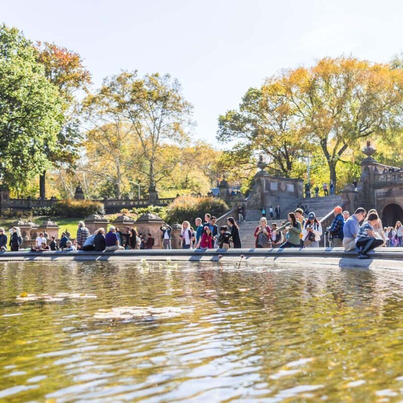 New York: Home Alone 2 and Elf Movie Locations Guided Tour - The Nuts and Bolts: Practical Details