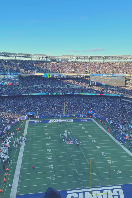 New York: New York Giants Football Game Ticket - The Sum Up