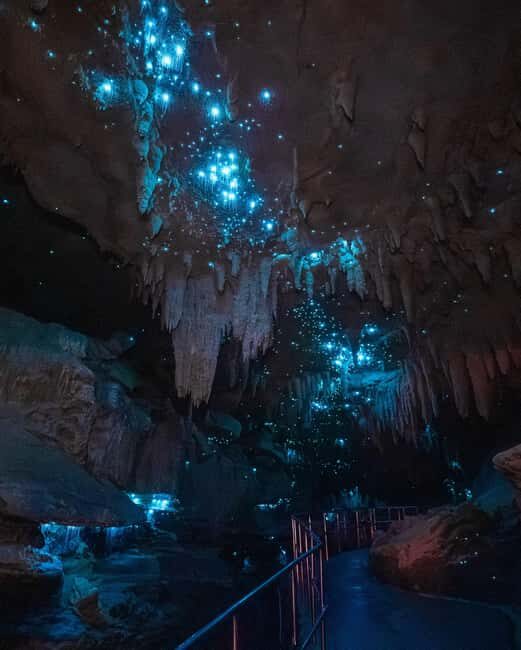 New Zealand: Milky Way Glowworm Cave Tour - A Detailed Look at the Milky Way Glowworm Cave Tour
