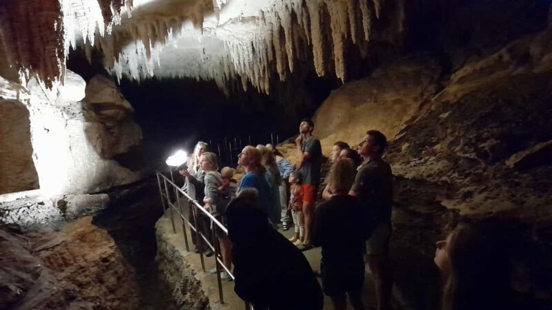 New Zealand: Milky Way Glowworm Cave Tour - Frequently Asked Questions