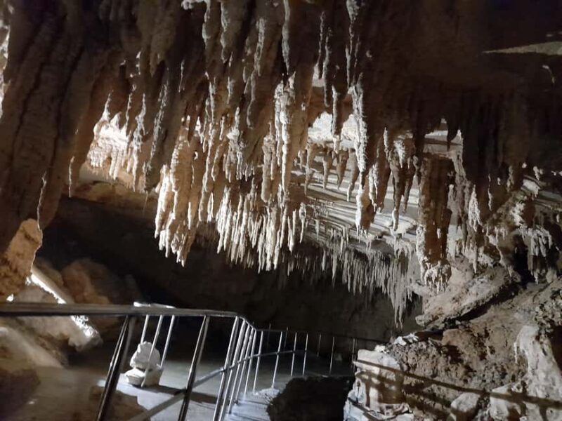 New Zealand: Milky Way Glowworm Cave Tour - Final Thoughts