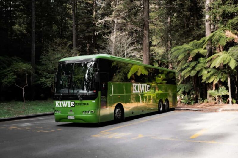 New Zealand: North Island Hop-On Hop-Off Pass - Exploring the North Island at Your Own Pace