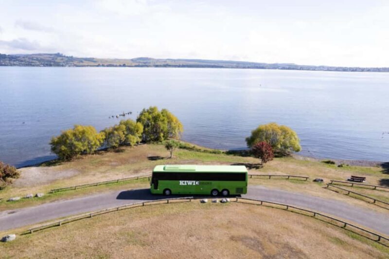 New Zealand: North Island Hop-On Hop-Off Pass - What Sets This Tour Apart?