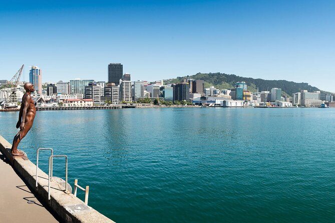 New Zealand Wellington Airport (WLG) to Wellington City Centre - What You Can Expect During Your Ride