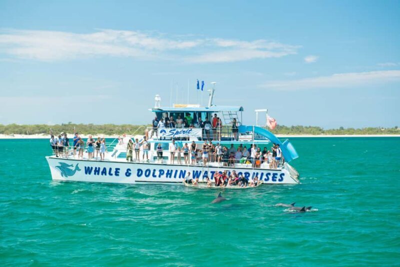 Newcastle: Animal Lovers Tour - Kangaroos, Dolphins & more! - The Full Experience: What You Can Expect
