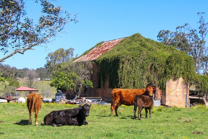 Newcastle: Hunter Valley River & Farm Tour with BBQ - A Deeper Look at the Hunter Valley River & Farm Tour