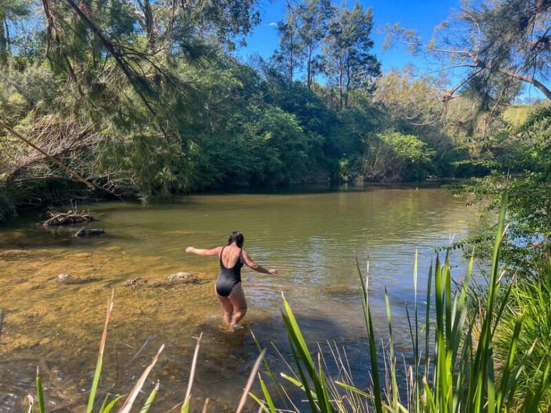 Newcastle: Hunter Valley River & Farm Tour with BBQ - An In-Depth Look at the Hunter Valley River & Farm Tour