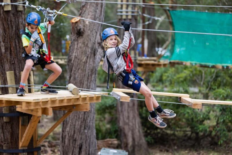 Newcastle: Junior Tree Ropes Course - Newcastle: Junior Tree Ropes Course — An Outdoor Adventure for Young Explorers