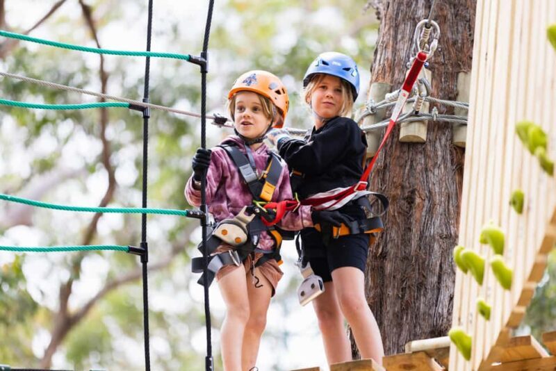 Newcastle: Junior Tree Ropes Course - Key Points