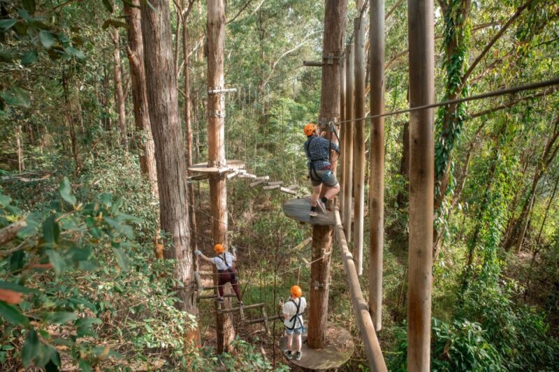 Newcastle: Tree Ropes Course Adventure - The Sum Up