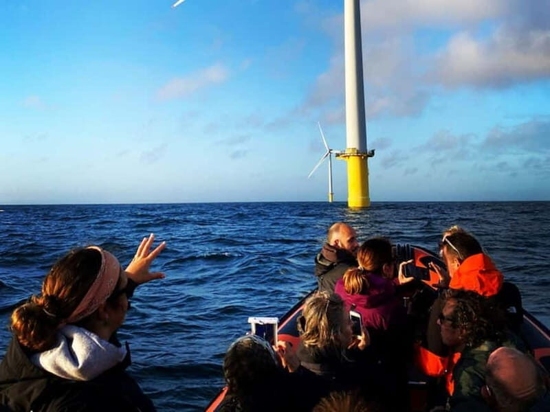 Newhaven: Rampion Offshore Wind Farm Boat Tour - Key Points