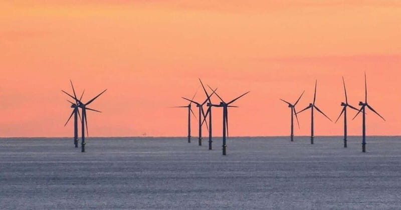Newhaven: Rampion Offshore Wind Farm Boat Tour - Who Would Love This Tour?