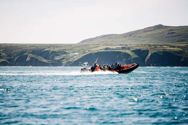 Newhaven: Seven Sisters and Birling Gap Boat Tour - The Highlights in Detail