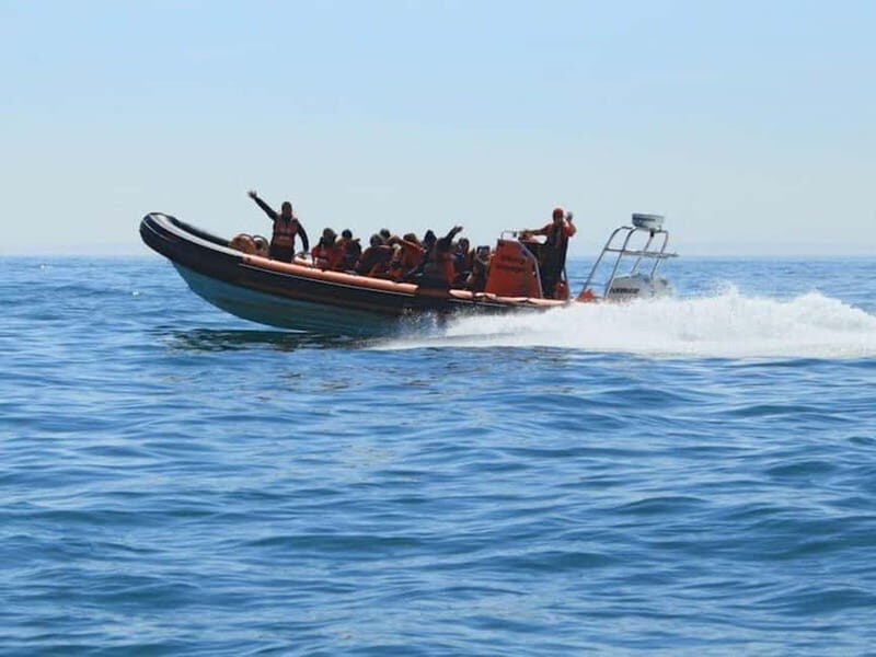 Newhaven: Three Zero Seaford Bay Speedboat Ride - The Experience Breakdown: What to Expect on Your Speedboat Ride