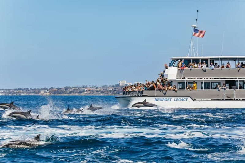 Newport Beach: 2-Hour Whale Watching Tour - Newport Beach: 2-Hour Whale Watching Tour – A Practical, Authentic Coastal Adventure