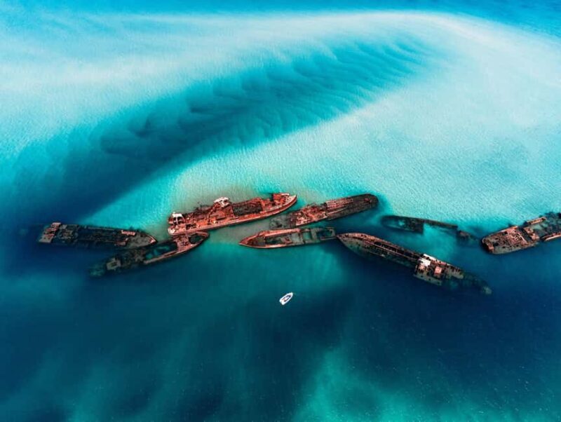 Newport: Moreton Island Snorkeling Tour with Lunch - Key Points