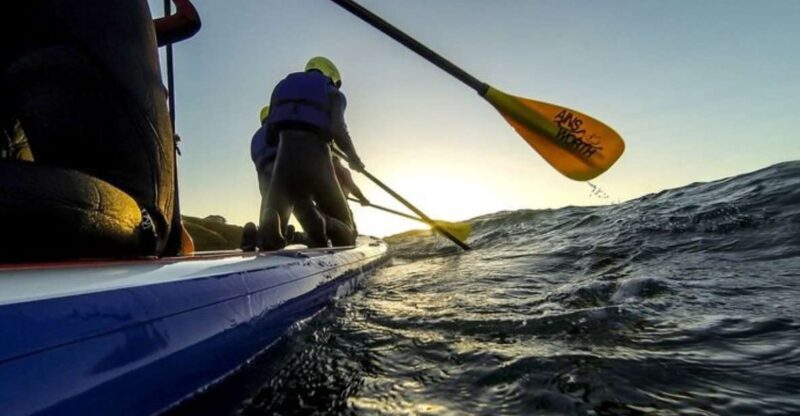 Newquay: Super SUP Tour - Discover the Coastal Charm of Newquay with the Super SUP Tour