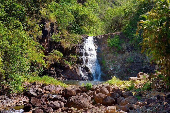 Next Level Oahu Circle Island Tour Snorkel w/Turtles and Byodo-In - Discover the Best of Oahu with the Next Level Circle Island Tour