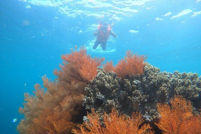 Nha Trang Boat Trip - Who Will Love This Tour?