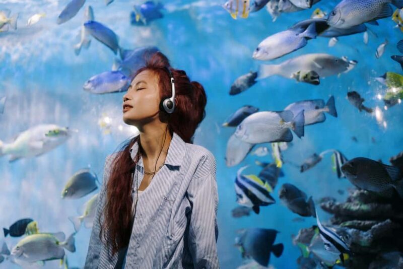 Nha Trang: City Highlights Tour with Local Guide - In-Depth Look at the Nha Trang Highlights Tour