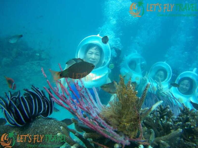Nha Trang City Scuba Diving Adventure & Seaside Tour - Final Thoughts: Who Will Love This Tour?