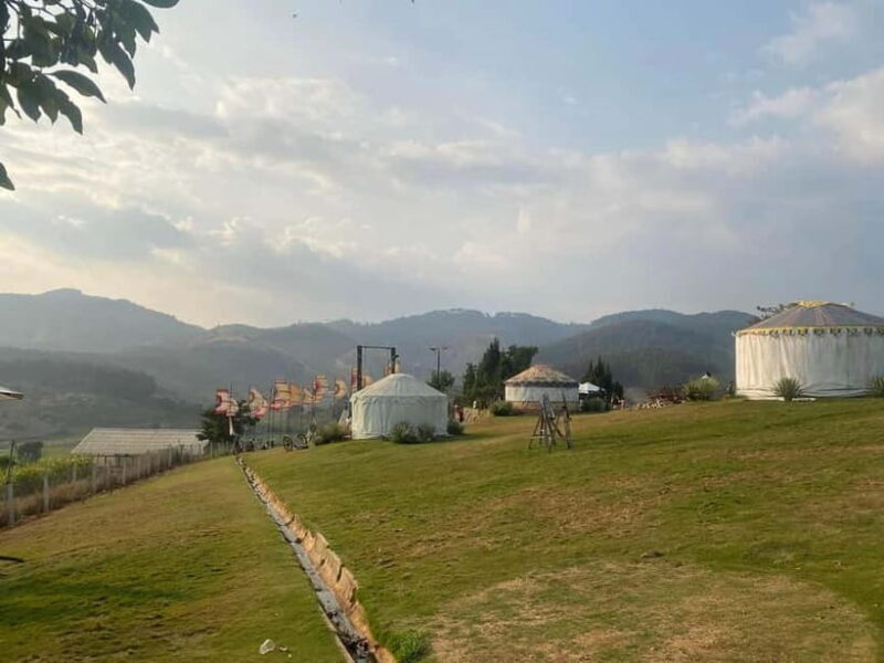 Nha Trang-Da Lat Day Trip: Explore Mongo & Donki Land - Exploring the Itinerary: What Makes This Tour Stand Out