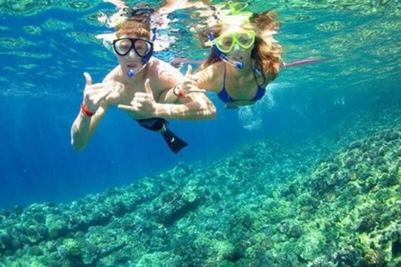 Nha Trang: Deluxe Ocean Tour With Snorkeling, BBQ & Mud Bath - Frequently Asked Questions