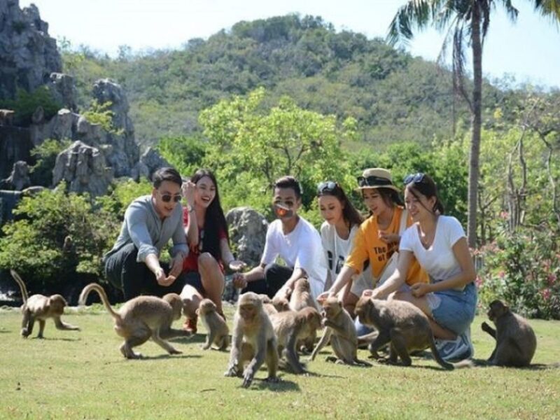 Nha Trang: Entry Ticket to Monkey Island - Key Points