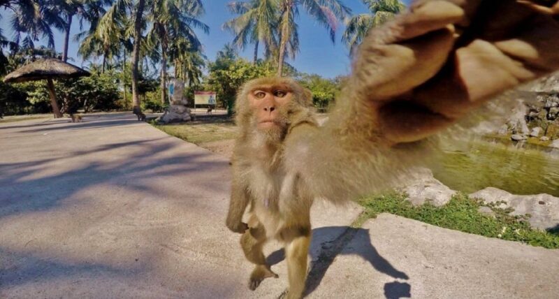 Nha Trang: Entry Ticket to Monkey Island - FAQ