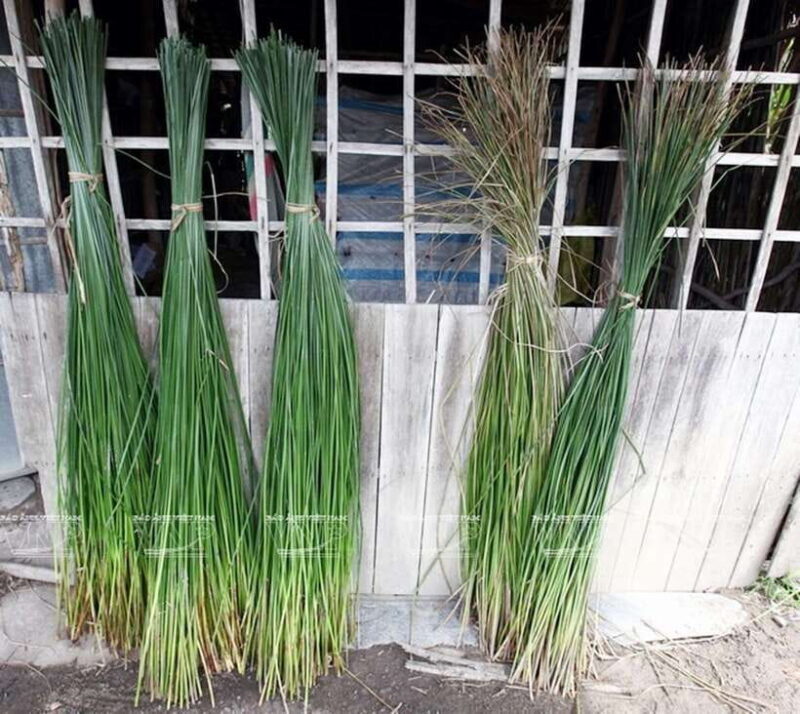 Nha Trang: Explored the daily life in countryside &waterfall - Key Points