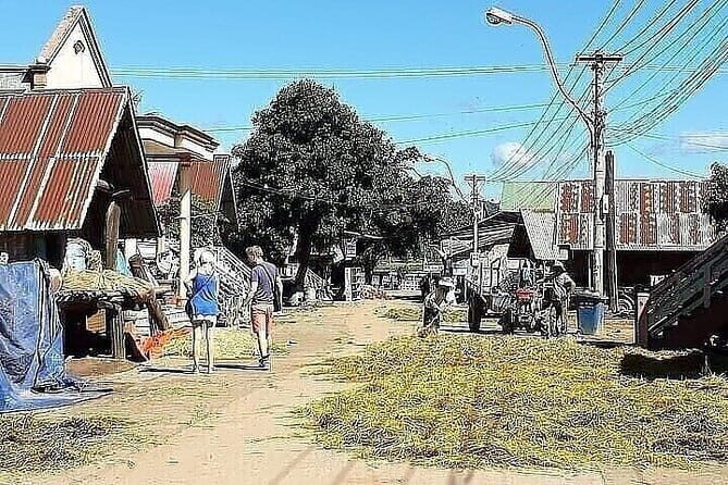 Nha Trang Exploring Tour To Da Lat - Who Should Book This Tour?