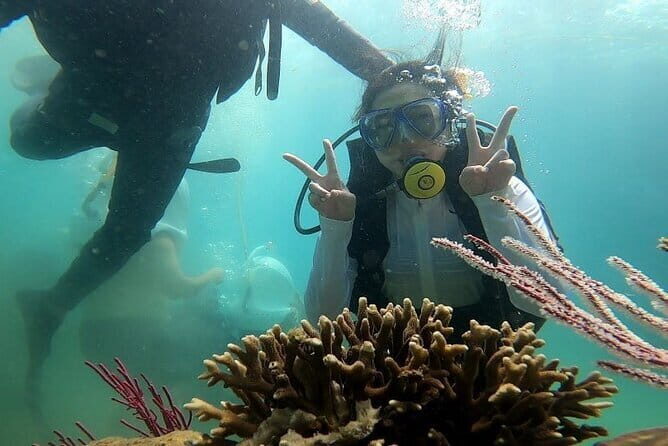 Nha Trang Exploring Tour To Da Lat - Final Thoughts: Is It Worth It?