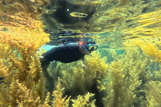 Nha Trang Half-Day Snorkeling Adventure at Marine Park with BBQ - A Detailed Look at the Nha Trang Snorkeling Adventure