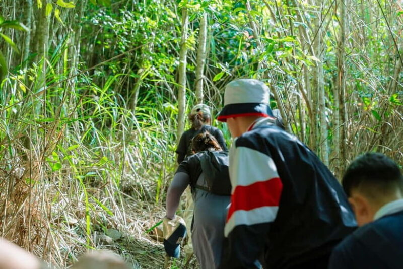 Nha Trang: Hon En Peak Hike & Paragliding Experience - Potential Drawbacks or Considerations