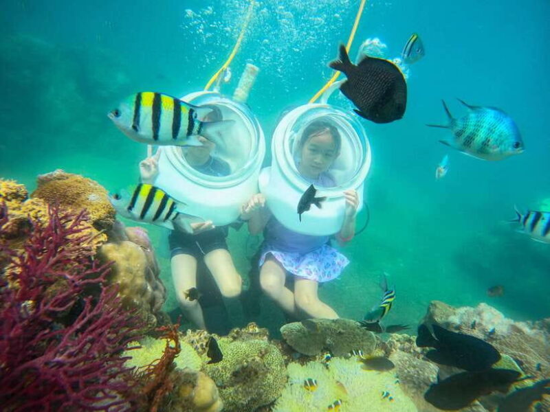 Nha Trang: Hon Mun Island Marine Park Snorkeling & Mud Bath - Final Word