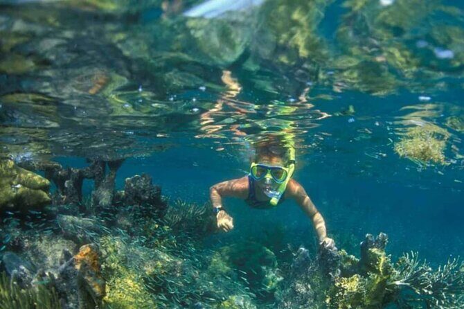 Nha Trang Island Adventure: Snorkeling, BBQ and Relaxing Mud Bath - The Sum Up