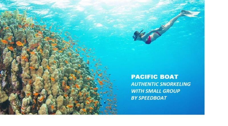 Nha Trang: Island-Hopping & Snorkeling Day Trip by Speedboat - Summary of the Experience